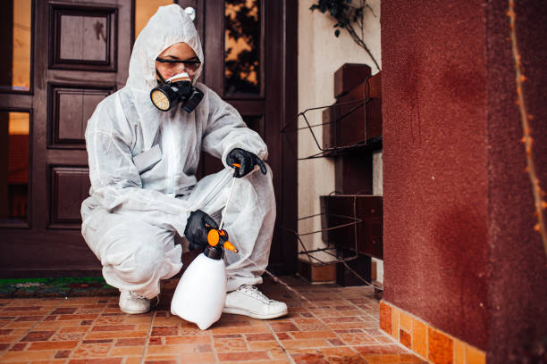Reliable Bed Bug Control contractor in Pepperdine University, CA by Nex Pest Control