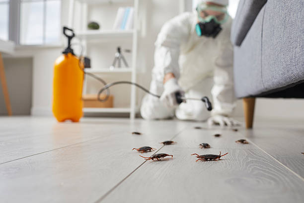 Trusted Fumigation Services service in Pepperdine University, CA - Nex Pest Control