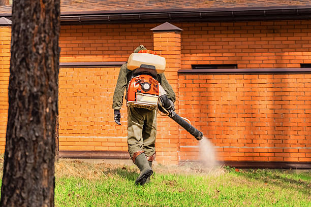 Trusted Bed Bug Control service in Pepperdine University, CA - Nex Pest Control